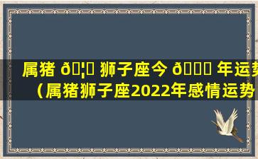 属猪 🦄 狮子座今 🍀 年运势（属猪狮子座2022年感情运势）